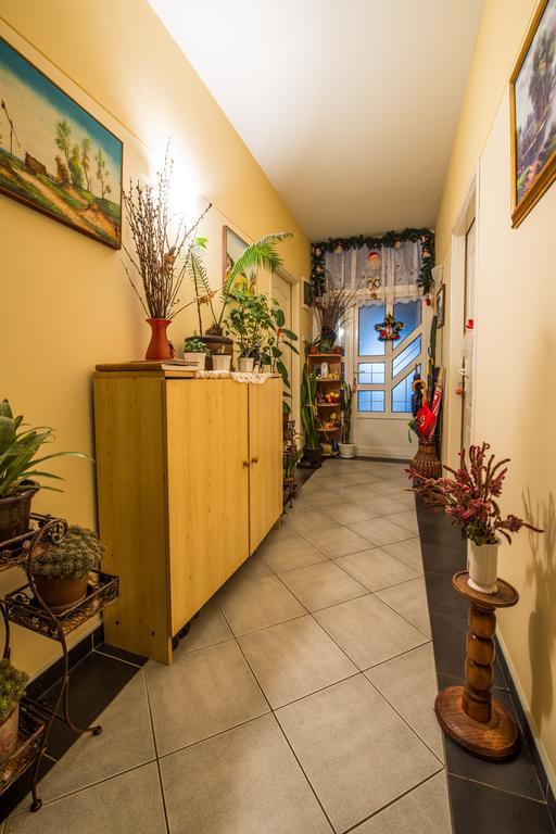 Eco Rural Tourism Association Skorenovac Otel Dış mekan fotoğraf